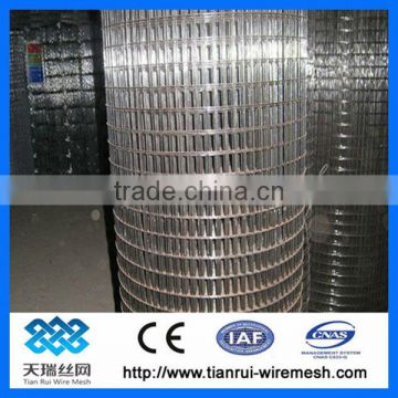 3x3 galvanized weled wire mesh (factory)