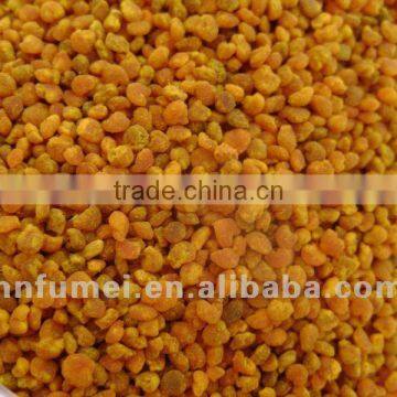 High quality natural extract flower pollen