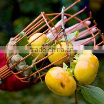 2016Hot Sell High Quality Adjustment Manual Fruit Picking Basket Fruit Picker photo-4