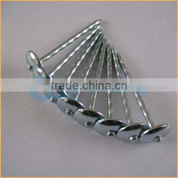 Top quality metal iron nail type roofing nail with umbrella trusted Chuanghe suppliers from alibaba com