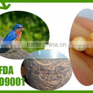 FDA Pet Food Suppliers High Protein Mealworm For Bird Food