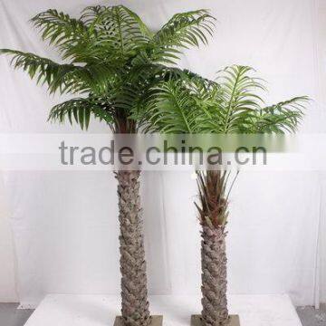SJ2001205 Home Indoor Using Cocount Plam Tree Factory Outlet photo-3