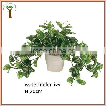 Artificial watermelon leaves ivy bonsai