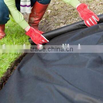 Greenhouse Garden Ground Cover Polypropylene Price photo-5