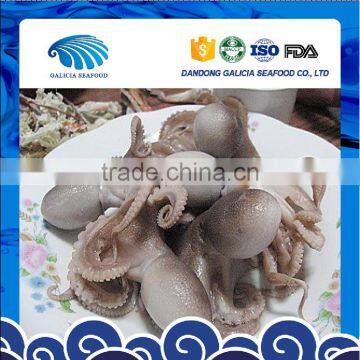 Raw Frozen Baby Octopus Flower Reasonable Price