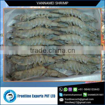 IQF Frozen Vannamei White Shrimp Wholesale