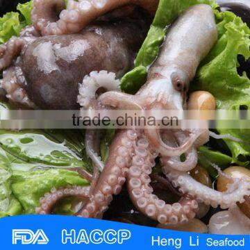 China best quality fish frozen octopus flowered