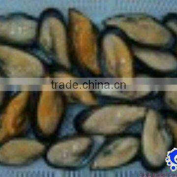 Frozen Boiled Vacuum Packaging Mussel Meat