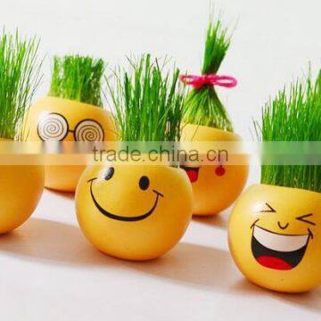 2017 New Style Emoji Grass Doll photo-2