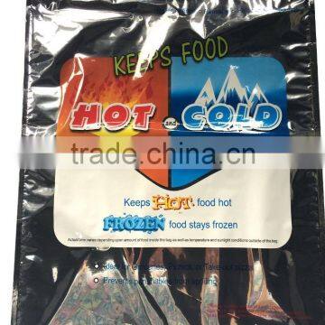 Custom High Quality Aluminum Foil Thermal Cooler Bag With Plastic Handle photo-6
