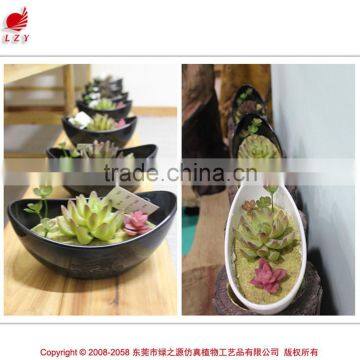 Artificial Mini Plant Potted Succulent Combination Mini Succulent photo-6