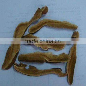 reishi herbs pieces natural herbs