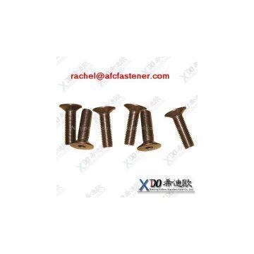 Metric Socket Screws Duplex 2205 Screw Hex Socket photo-2