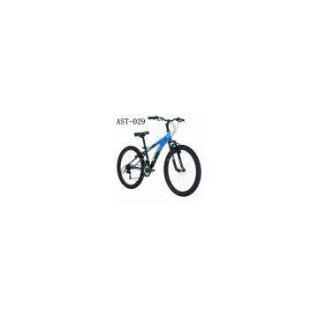 24-Inch Wheels Boy\'s Mountain Bike