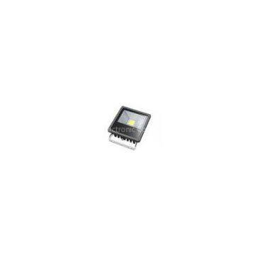 50 Watt Outdoor LED FloodLight