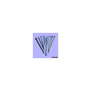 Galvanized Iron nail.Iron Nail,Nail