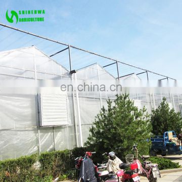 Complete polycarbonate greenhouse greenhouse/hydroponic greenhouse