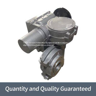 Bernard Angle Stroke Valve Electric Device B+RS250/F40Z Direct Type Electric Actuator photo-2