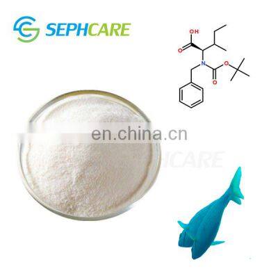 Sephcare CAS NO 9064-67-9 Cosmetic Grade Fish Collagen Powder