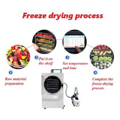 Freeze Dryer photo-5