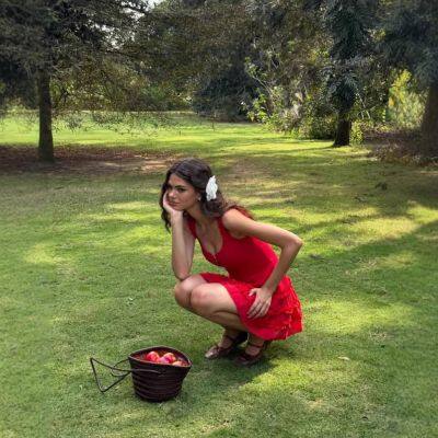 INS Internet Famous Women's Clothing Design Sense Red French Fungus Edge Sleeveless Dress photo-2