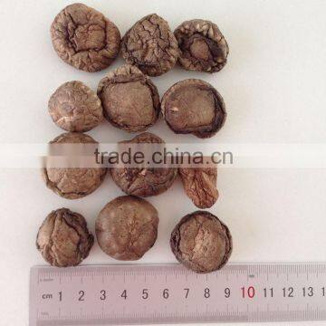 Polish Wild Dried Mushrooms photo-2