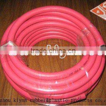 Flexible gas hose