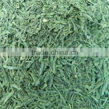 High Quality Premium Japanese Matcha Tea Sencha for Sale