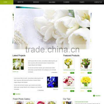 online shopping cart ecommerce website deisgn