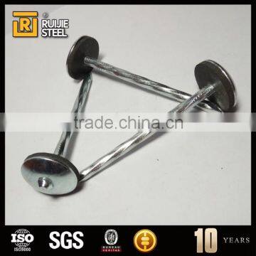 Bright Steel Nail ,umbrella Head Roofing Nails,large Head Iron Nails photo-5