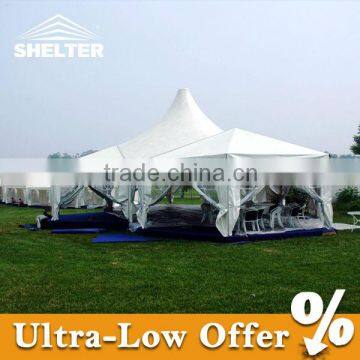 Customized Tentsage Canopy for Sale photo-2