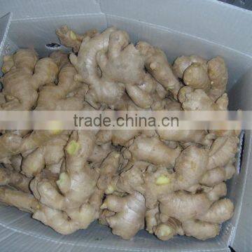 Fresh ginger/Air dry ginger/2013 half-dry ginger
