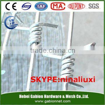 Cheap! Hot dip/ Electric galvanized Double Twist Barbed wire fencing real factory (ISO)