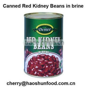 Canned Red Kidney Bean in Brine from factory directly