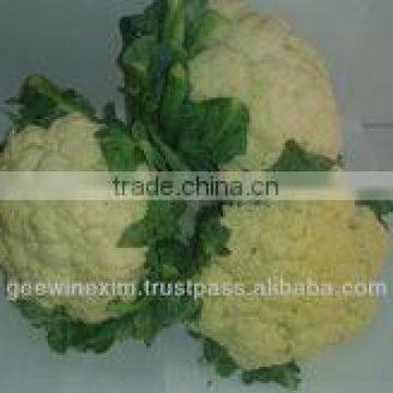 Cauliflower