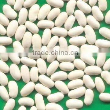 white kidney beans Baishake type for sale