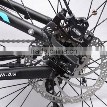 High Speed and Long Distance New 48V 750W " Mid Drive Electric Mountain Bike ( HJ-M21 With Mid Motor ) photo-5