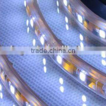 Warm White Single Color 12v Led Strip Light 2835 Smd Led Strip Led Rope Light photo-4
