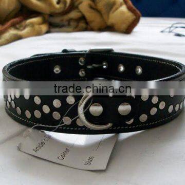 dog collar