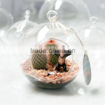 Geometric Glass Terrarium Wholesale photo-5