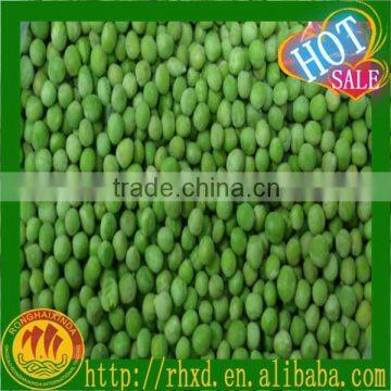 Supply frozen food specification frozen green pea brands