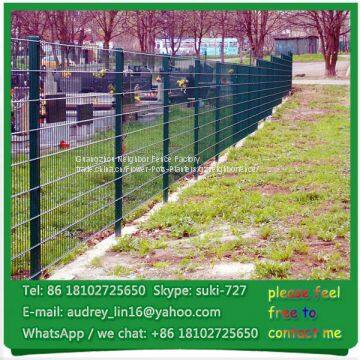 Guangzhou Double Rod Safety Mesh Fencing Panels Double Bar Wire Fence photo-5
