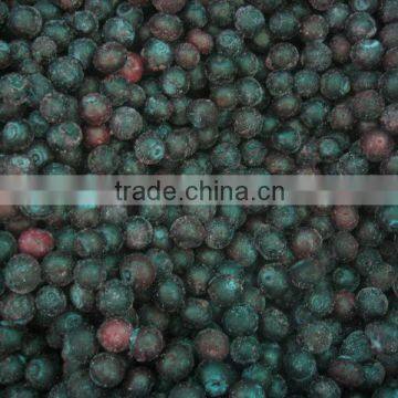 Bulk Wholesale Blueberry photo-4