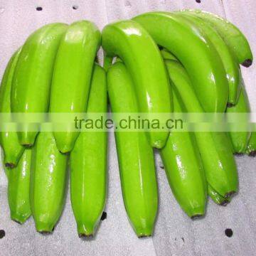 Fresh Cavendish Banana From Tamilnadu photo-4