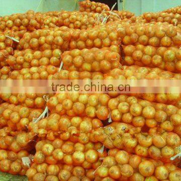 10kg fresh onion