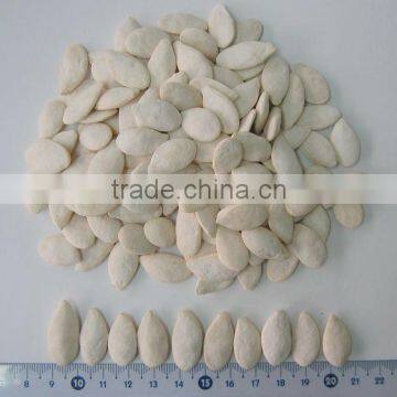 High Quality Grade A Pumpkin Seeds