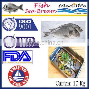 Fish Sea Bream, Tunisian Fish Sea Bream,Farm Fresh Sea Bream,Best Quality Fresh sea bream,10 Kg