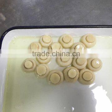 CANNED CHAMPIGNONES ENTEROS FROM CHINA CAN FOOD