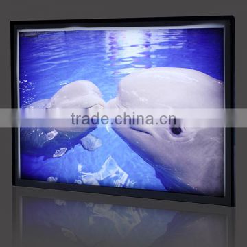 2016 Warranty Waterproof Crystal 7 segment led display led light box