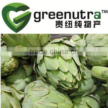 artichoke extract 5% cynarin, Artichoke extract